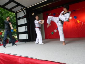 JE2010-45
